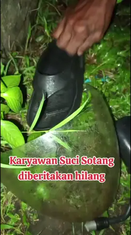 Info terkini update dari teman ORARI Sempor., Arjun karyawan suci sotang hilang‼️ kronologinya itu mlm kamis slese krja ijin ke mba suci buat pulang ke Purbalingga Bobotsari karena kamis pgi katanya arjun mau tmenin ibunya kontrol ke RS. tp sampai pagi blm sampai rumah dan hilang kabar. Setelah disisir keluarga dan teman-temannya ditemukan pecahan helm,sandal,spion di pinggir sungai anget,diatas waduk Sempor. Sekarang keluarga dan teman-teman survivor masih di lokasi penemuan serpihan hlem dan spion. Dan minta bantuan BPBD. Semoga arjun ditemukan segera dan selamat. aamiin SC khaerulanwar #sucisotang #arjun #purbalingga #bobotsari