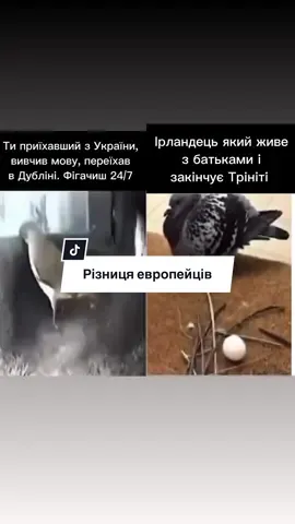 І не треба напрягатись . Хто поняв тот поняв  . . #українцівірландії #українцізакордоном #дублін #ірландія #beforeafter 