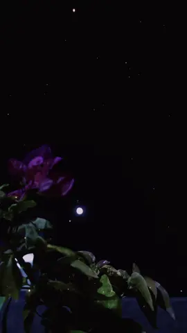نسافر إلى خيالنا بتذاكر مجانية، ولكننا ندفع ثمنها عند الرجوع لواقعنا ..🥀💔#🖤🖤🖤 #🤍🤍🤍 #