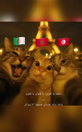 #tunisia🇹🇳#palestine🇵🇸  #algerie🇩🇿 #lybia🇱🇾#marocaine🇲🇦 