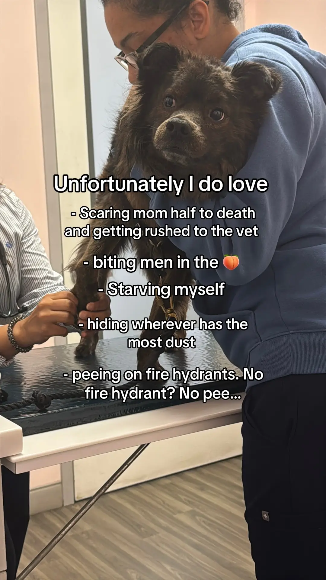 Good thing all his vets are female, he respects their authority #pettok #dogmom #dogsoftiktok 