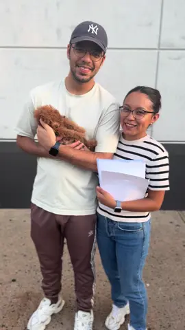 Congrats teacup/toy poodle sold#NYCPuppies #PuppyTikTok #BrownPoodle #ToyPoodleForSale #LanguageLearning 