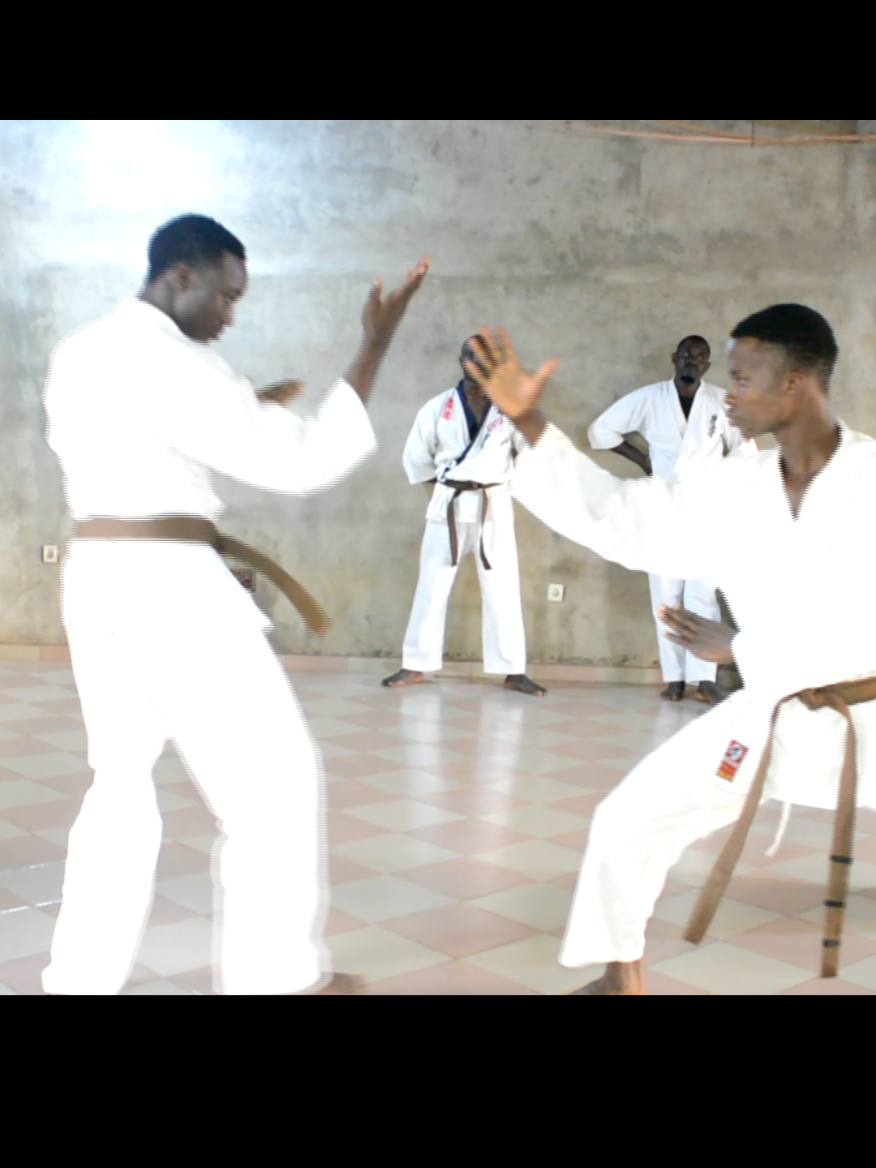 Ils ont validé la ceinture noir 💯🔥 #CombatReel #SelfDefense #ShorinShoreiRyu 