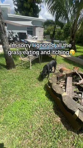 Give your pups the care they deserve🥹 #ad #petlabco #dogprobiotics #dogsoftiktok 