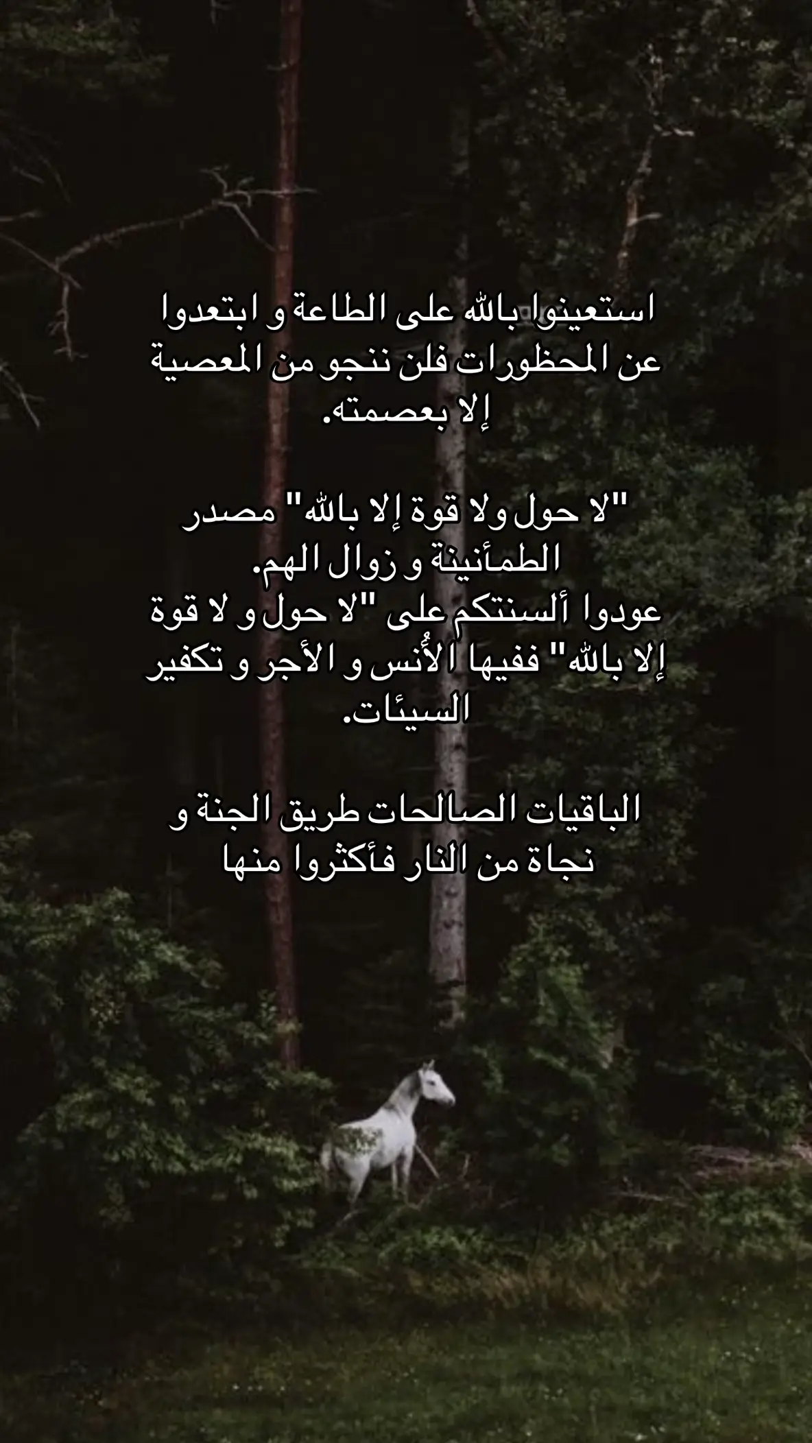 #استغفرالله #سبحان_الله #اذكروا_الله 