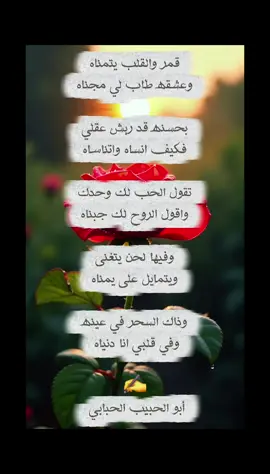 #أبو_الحبيب_الحبابي #ياسر_الحسام #جديد #اكسبلورexplore #مشاهير_تيك_توك  قمر والقلب يتمناه كلمات أبو الحبيب الحبابي 