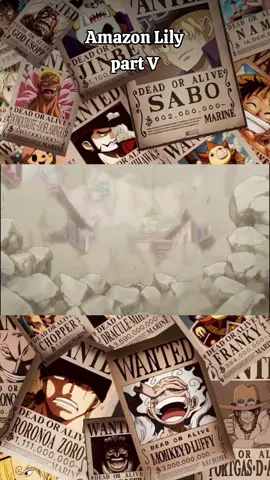 part 5|| kemunculan Hancock #onepiece #kurohige #hancock #fyp #fypシ゚viral 