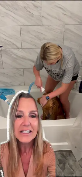 Shoutout to @Belle&Murphy for the cutest pup bath we’ve seen recently 🥹💙 We’re so glad you love using the Rinseroo Tub Hose to make bath time easier with Murphy (and way less messy for you 😉). Thank you for supporting our small business here in New Jersey — seeing happy pets + happy owners makes our day! 🐾💦 #RinserooPets #DogBathHack #rinseroo #SmallBizLove #petcare 