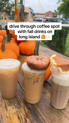 obsessed with @thebarn_merrick ‘s fall drinks, perfect for fall feels 🎃✨☕️ these literally taste like autumn in a cup!! run to the barn for your next fall drink 🎃🫶🏼🍂#longisland #thebarn #longislandcoffee #fallaesthetic #pumpkinspicelatte  📍The Barn, Merrick 