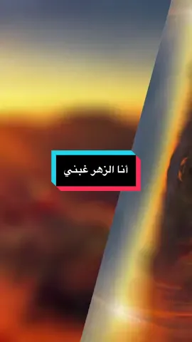 أنا الزهر غبني#kosaihadi #المغرب🇲🇦تونس🇹🇳الجزائر🇩🇿 #coucherdesoleil #الشعب_الصيني_ماله_حل😂😂 