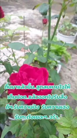 #แม่ค้าหน้าหน้าแป้นแล้น #