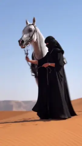 ماكل (مهره ) تستوي بيد خيال ،، يصعب على بعض الفوارس رسنها #اكسبلور #راقت_لي #قصيدة_جزله #فديوهات_متنوعه 
