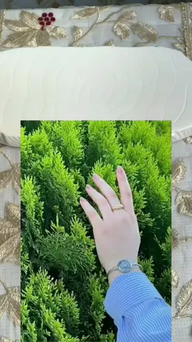 خلطة تبيض وترطيب وتنعيم لليدين والقدمين 🌸 جنن بنات ✨ #العراق #أكسبلو #ترند #مشاهدات #مشاهير_تيك_توك 