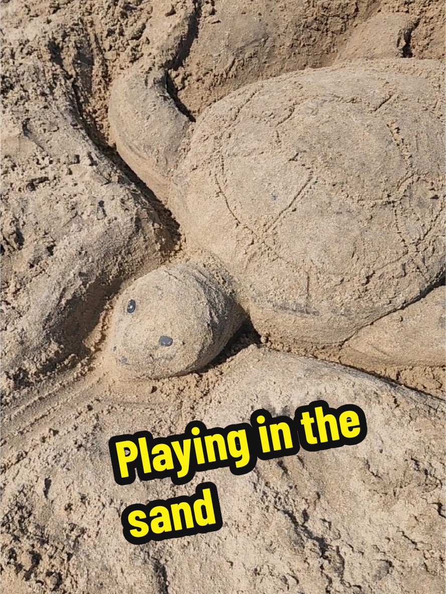 Whether you're 5 or 55..playing in the sand is still fun 🥰🥰  There's something special about racing against the tide, favoring speed over perfection, knowing it will all be washed away soon. Very therapeutic 🌊 #sandsculpture #beachday #beachtherapy #seaturtle #relaxing 