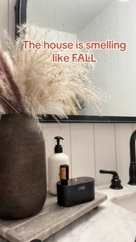 The is smelling like Fall - and I’m not mad about it one bit 😊 @CE Craft Company #oildiffusers #waterless #wireless #diffuser #falloils 
