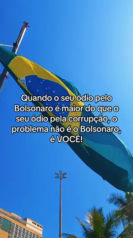 🙏🏼🇧🇷#forçabolsonaro #foramoraes #fly #direita 