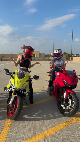 Mustard or ketchup?? #motorcycle #bikergirl #fyp 