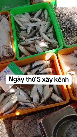 Hành trình xây kênh ngày 5 #xaykenhtiktok #tiepthilienket #chiasekinhnghiem #mebimxaykenh #mebimsua 