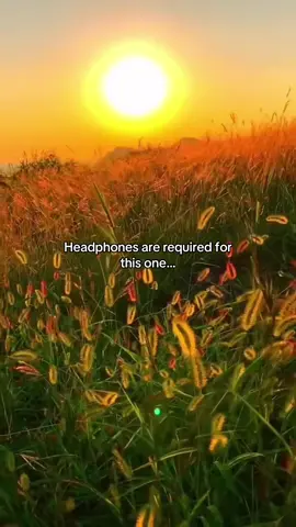 (🎧: We Shouldn’t Be Doing This by John York)