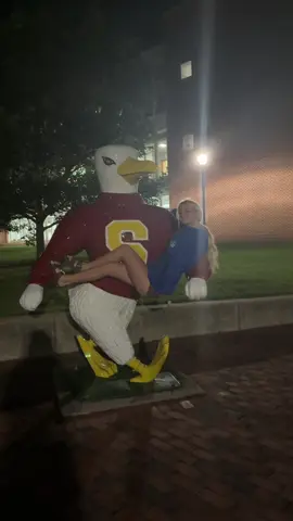 #salisbury #sammytheseagull #college #fyp 