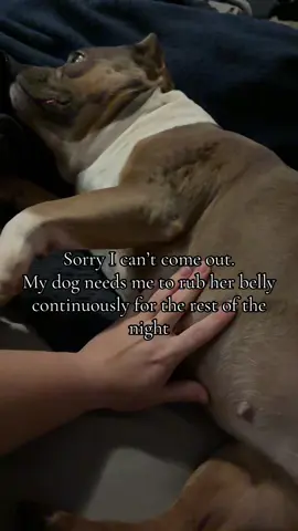 #bullysofttiktok #mybaby #dogsoftiktok #introvertsbelike 