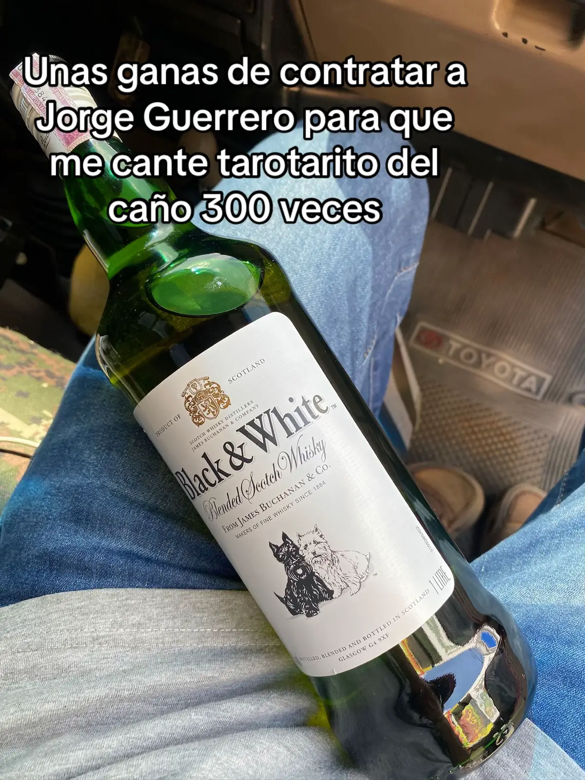 #fpyシ #paratii #views #jorgueguerrero 