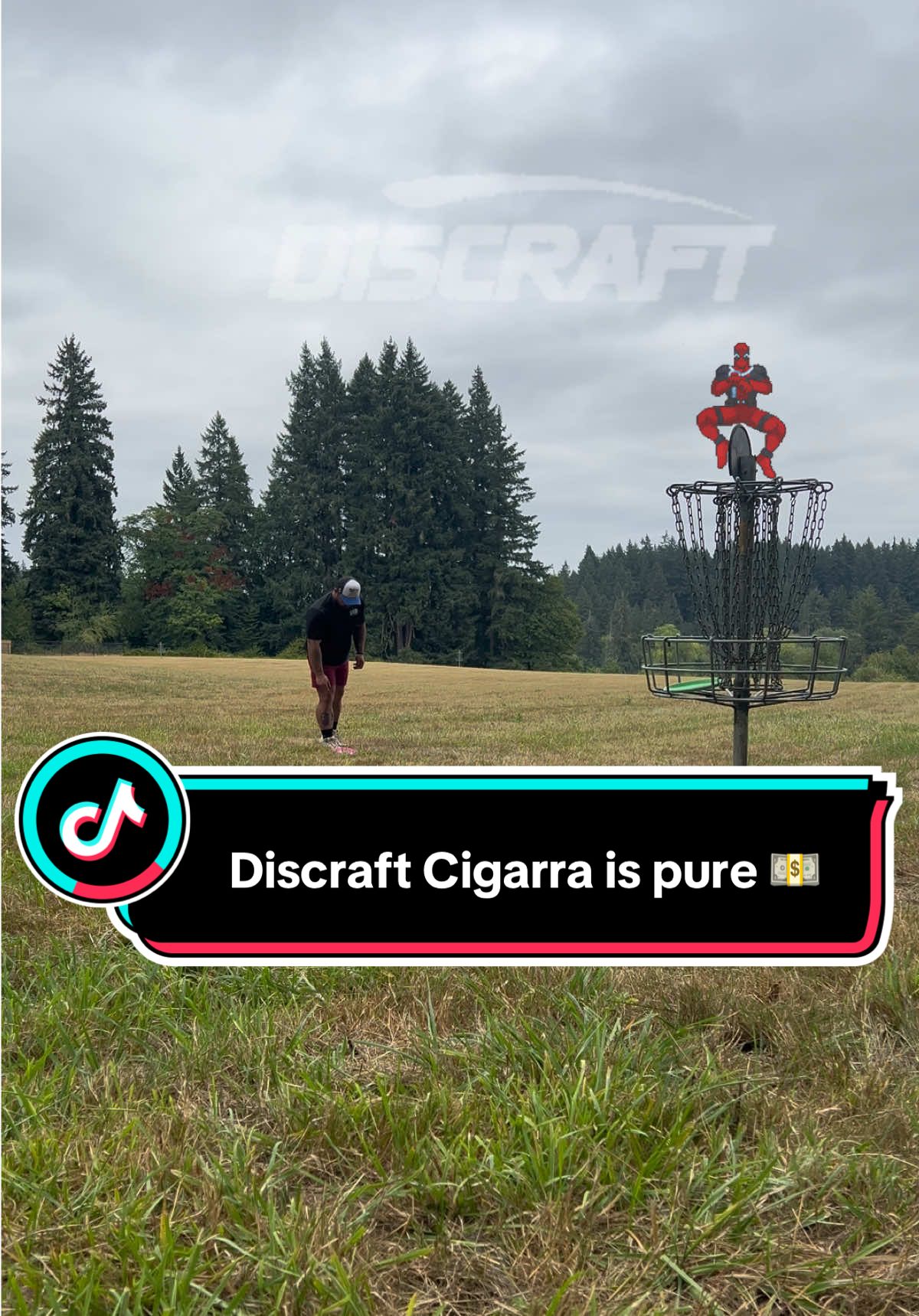 The @Discraft Anthony Barela Cigarra is an overstable evolution of the beloved Cicada with flight numbers 7/6/-1/2. You’ll get a beautiful reliable fade with tons of glide. Definitely a must try. #discgolf #frisbeegolf #discraft