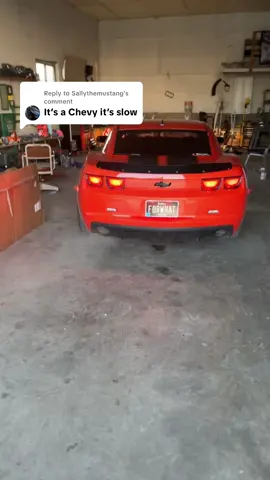 Replying to @Sallythemustang 2v owners are wild. 