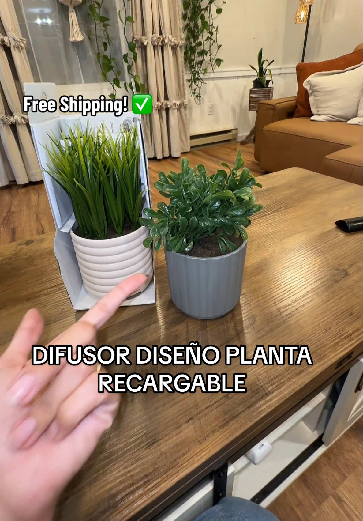 Planta decorativa que también es difusor 🌿✨ #QVCInc #LifelinesDiffuser #AromaDecor #TikTokShopFinds #DecoraciónAromática 