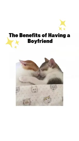 The benefits of having a boyfriend #catmeme #kittycat #catanimation 