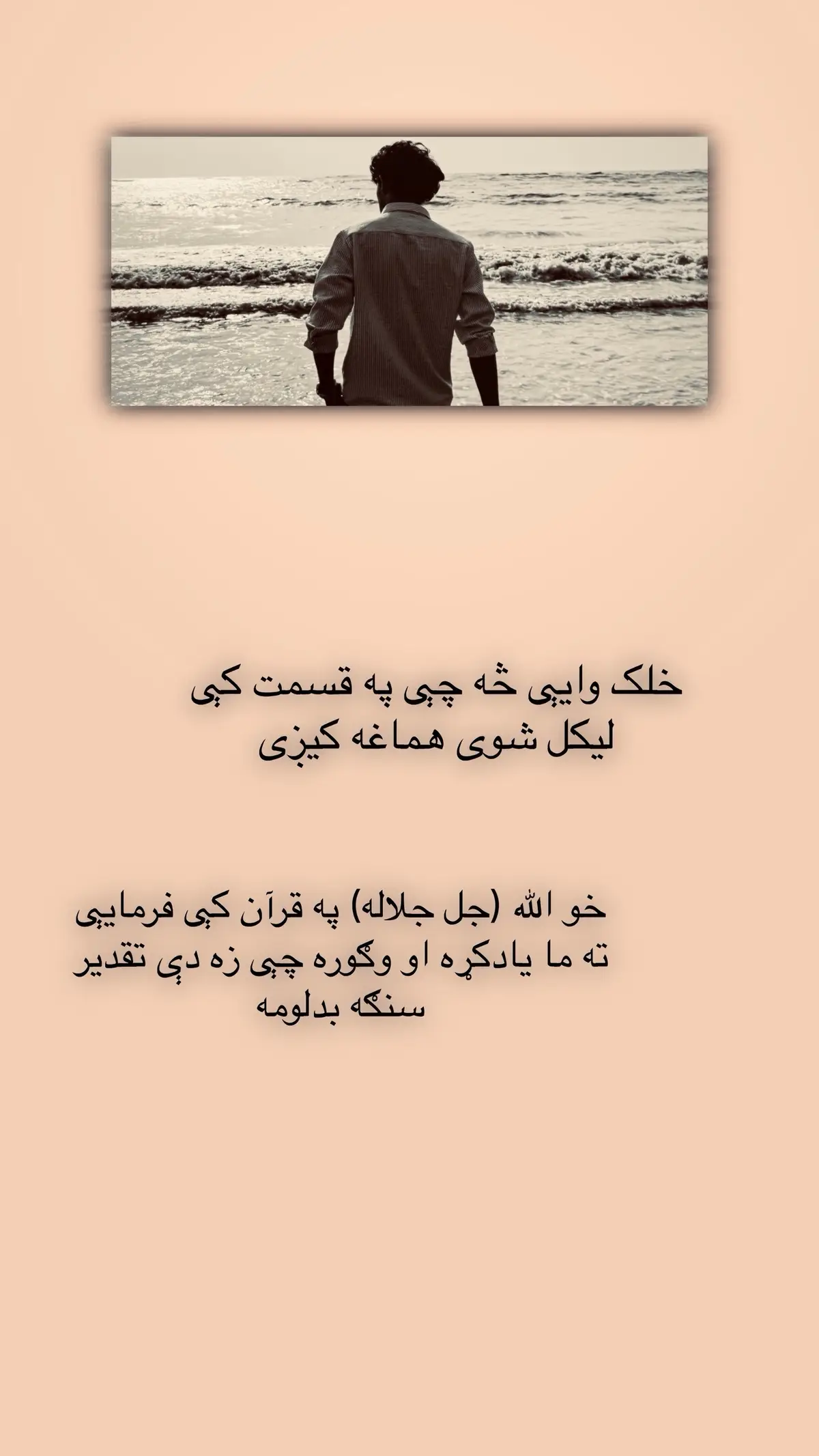 #fypシ゚viral🖤tiktok☆♡🦋myvideo #fypシ゚viral🖤tiktok #fypシ #please_tiktok_dont_muted_my_video #please_tiktok_team_viralvideo_please 