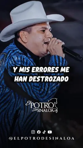 Mis Errores - El Potro De Sinaloa 🤠🎺🫀🎵  #elpotrodesinaloa #refuegomusic #regional 