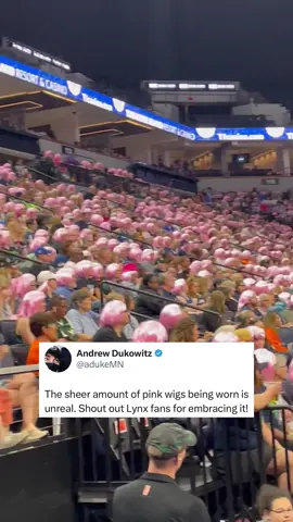 The Minnesota Lynx gave out pink wigs to all of their fans to show their appreciation to the Studbudz 💞 Via @adukemn on X #minnesotalynx #studbudz #WNBA 