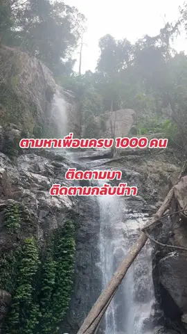 เพิ่มเพื่อนกันทุกคน  เป้าหมาย 1000 คน  #เพิ่มเพื่อน  #เพิ่มผู้ติดตามที่มีตัวตน  #เพื่อนช่วยเพื่อน #อยากเปิดตะกร้าในติ๊กต๊อก #ขึ้นฟีดเถอะ 