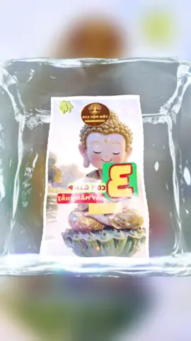 3 TUỔI CÓ VẬN TRÌNH TỐT NHẤT NGÀY THỨ 7 13/92025 #tanmocgia #tửvi #12congiap #chọnngày #LearnOnTikTok 