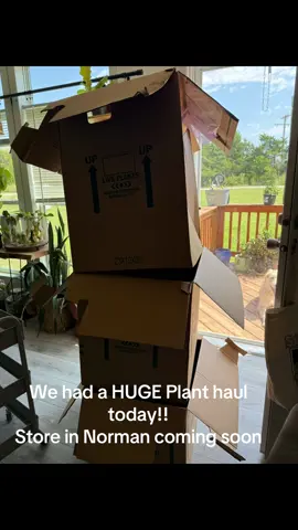 #planthaul #PlantTok #fyp #normanoklahoma 