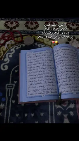 هدوء وصلاة الفجر 🥺❤️‍🩹.#اللهم_صلي_على_نبينا_محمد #صلاة_الفجر #جمعة_مباركه #explore #fyp 
