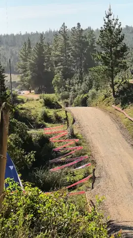 #wrc  #rallychile  #shakedown  #2025  #wrcrallychile 