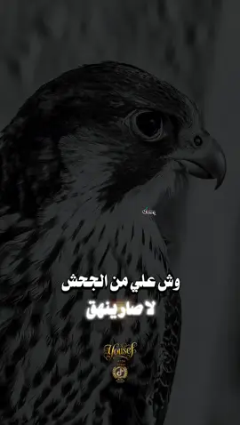 وش علي من الجحش لا صار ينهق. #شيلات 