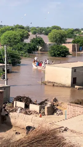 #Jalalpur pirwala#میں بھی سیلاب #😭😭😭 #allah pak rahm frma#😭😭😭 