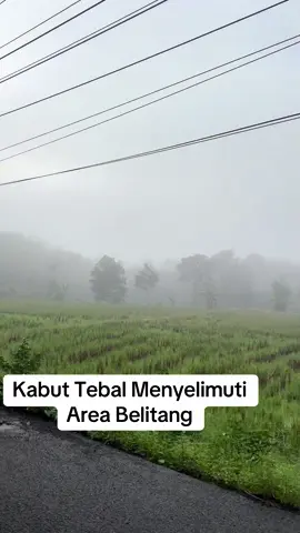 Kabut Tebal Menyelimuti Area Belitang Pasca Hujan Semalaman