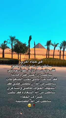 #في حياه اخري سأطلب من الله ان انام بعمق  فقد عانيت من الأرق طوال حياتي سأطلب ان أعيش فتره هادئة  فقد ضاعت أيامي تحت الضغوطات  سأطلب من الله ان يطمئن قلبي فقد استهلك الخوف طاقتي ومشاعري  سأطلب من الله السعاده فقد بكيت كثيراً ف الخفاء  سأطلب من الله الطمأنينه….  🥹🥀 #تيكتوك #تريند #اكسبلور #مشاهير_تيك_توك 