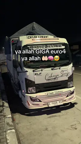 #giganesia #isuzugiga #euro4 #fouryou 