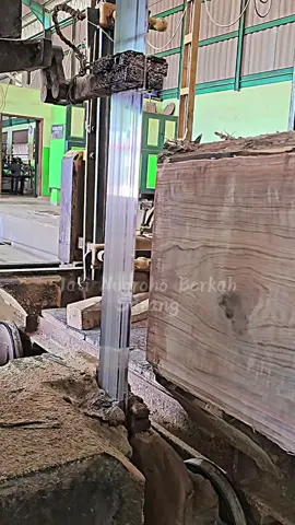 KAYU JATI SUPER POLLL !!!#jati #jatinugroho #kayu #kayujatisuper #jatiperhutani 