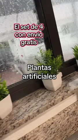 Estas plantas artificiales se ven hermosas para decorar cualquier parte de la casa 😍 #decoration #plantas #artificial 