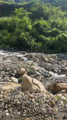 #tiktoklover❤️ #sweetsong❤️ #naturelover 