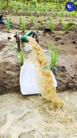 🎉 ម៉ូទ័របូមទឹកជំនាន់ថ្មីកម្លាំងខ្លាំងគុណភាពជប៉ុន ♻️ ប្រើភ្លើង 48V-100V (DC)  ♻️ កម្លាំង 2000V = 2.7HP ♻️ ទំហំទុយោ 150m រុញទឹកបាន 300m-400m ♻️ បូមទឹកបាន 50-80m3/h ♻️ កម្ពស់ទឹក 15-20m ជ្រៅទឹក 8m ☎️ទំនាក់ទំនងព៍ត័មាន ឬ កម្ម៉ង់ទិញ ៖ 👉 ទូរស័ព្ទ៖ 0968222129/ 017222129 📍ទីតាំង :  បុរីពិភពថ្មី កាមកូ 1 ផ្លូវលេខ02 ផ្ទះលេខ 06 ទល់មុខ PPT (វិថី ឧកញ៉ា ម៉ុង ឫទ្ធី (១៩២៨) ភ្នំពេញ ខណ្ឌសែនសុខ រាជធានីភ្នំពេញ) #solar #ម៉ូទ័របូមទឹក #vira #ប៊ូមទឹកឆ្លាតវៃ #កសិកម្មឆ្លាតវៃ 