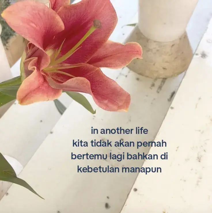 #4u #fypage 