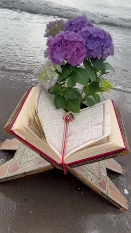 #سبحان_الله_الحمدلله_لااله_الا_الله اللهم استرنا فوق الارض وتحت الارض ويوم العرض عليك اللهم اتنا في الدنيا حسنه وفي الاخره حسنه وقنا واصرف عنا عذاب النار اللهم إني أسألك صباحاً مبشراً  وهماً راحلاً وقلباً مطمئناً  ورزقاً واسعاً  داراً مدراراً   يغدق علينا من كل جانب   يــــــارب أحسن إلينا بعفوك   ‏وارزقنا خيرك  واشرح صدورنا برضاك ‏وإخترلنا ما يسعدنا ويرضيك  يــــــارب ‏اجعل لنا في سمعنا نورا  وفي بصرنا نورا واجعل لنا نورا نستضيء به  في الدنيا والاخره اللهم امين يارب العالمين والصلاة والسلام على سيدنا ونبينا وحبيبنا محمد صل الله عليه وسلم... جمعة مباركة....
