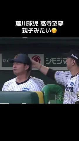 #阪神タイガース #藤川球児 #髙寺望夢